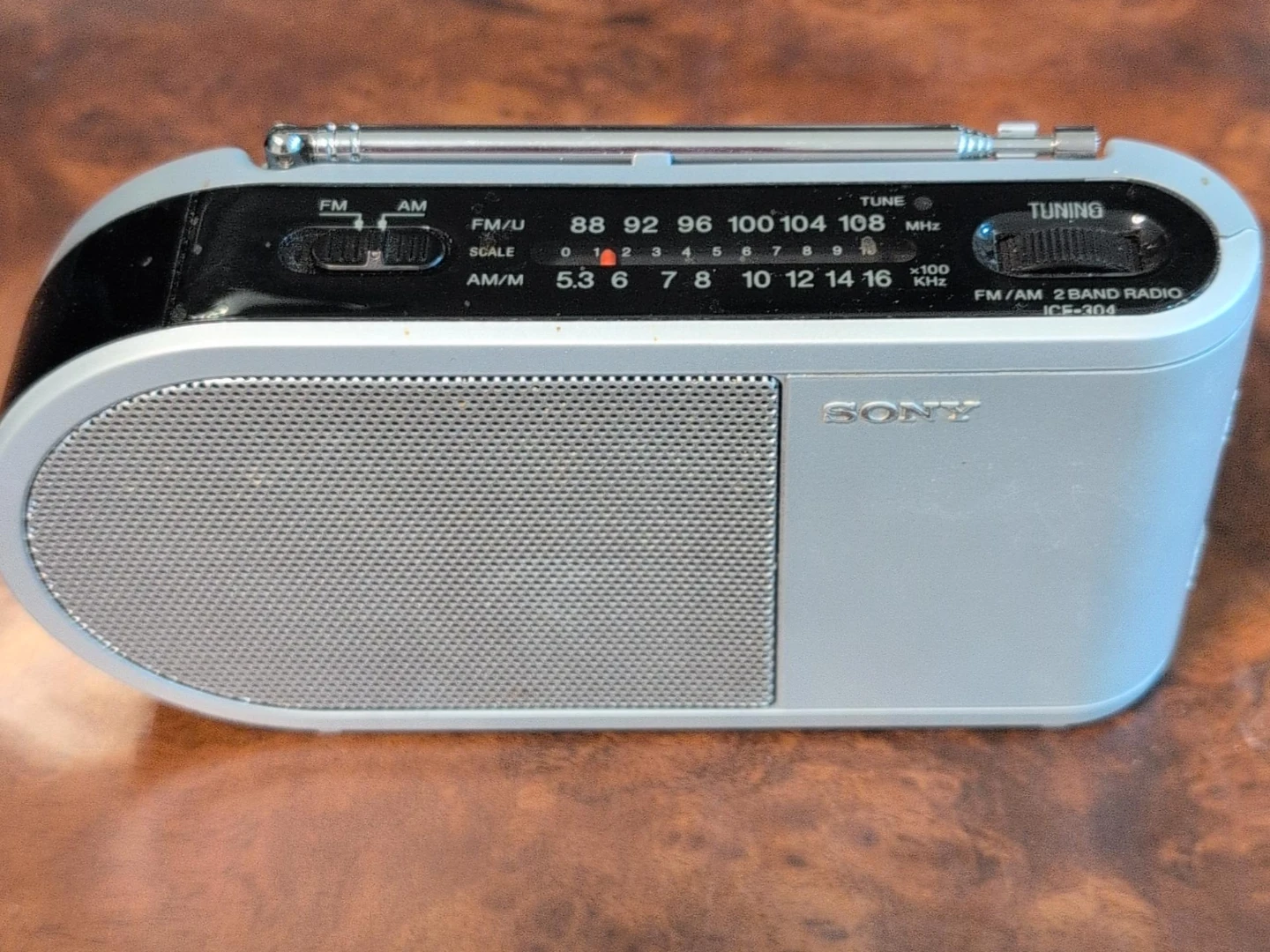Sony ICE-304 FM/AM 2 Band Radio