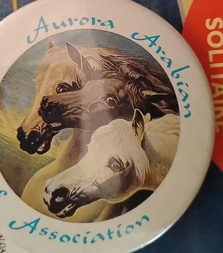 Aurora Arabian Association Horse Pin