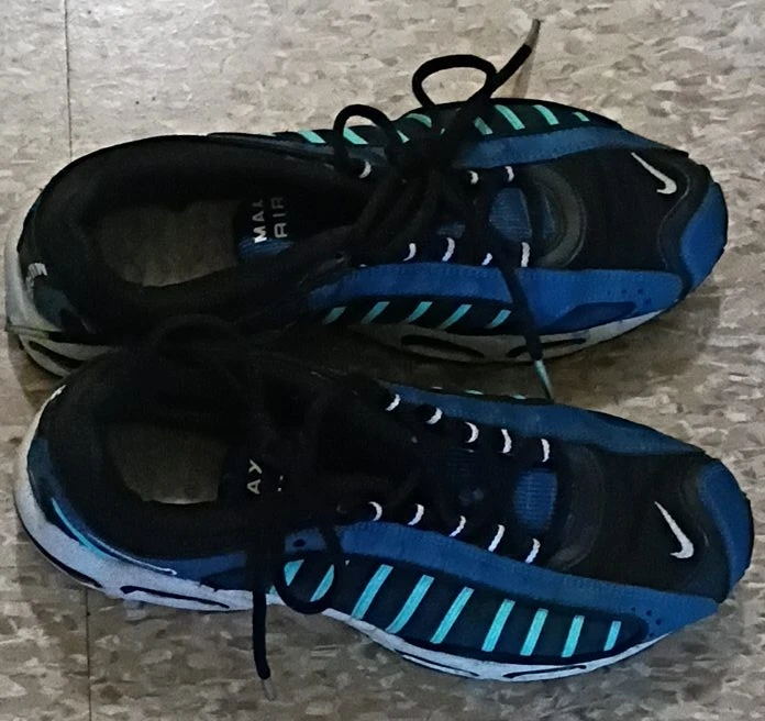 Nike Air Max Running Shoes