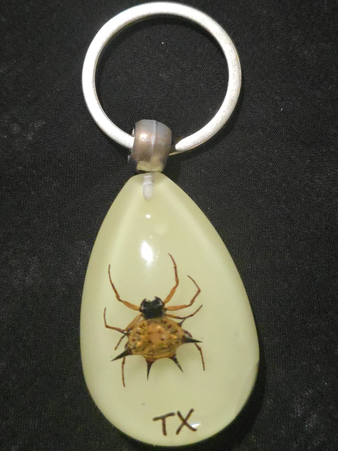 Spider in Resin  and glow in the dark Keychain.