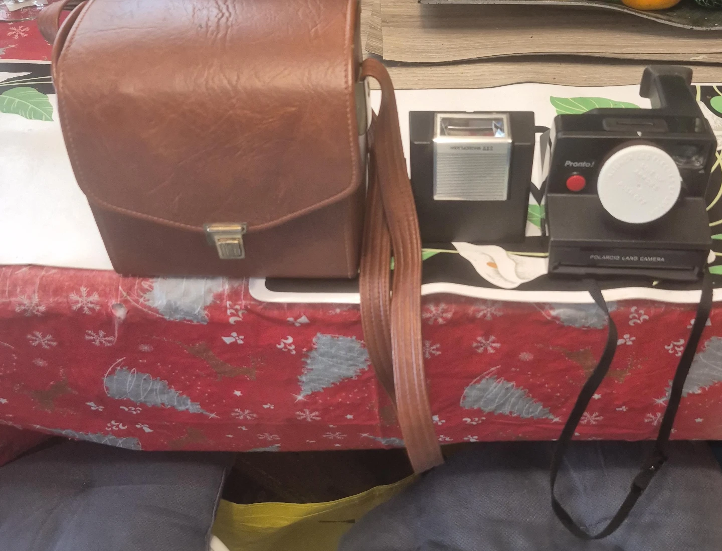 Polaroid Pronto! Land Camera with Case and Flash Attachment