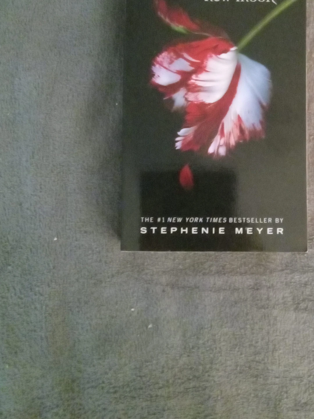 New Moon by Stephenie Meyer