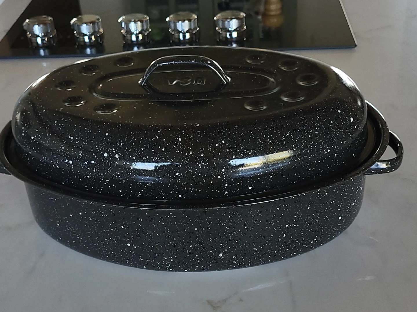Oval Roasting Pan with Lid & thermometers