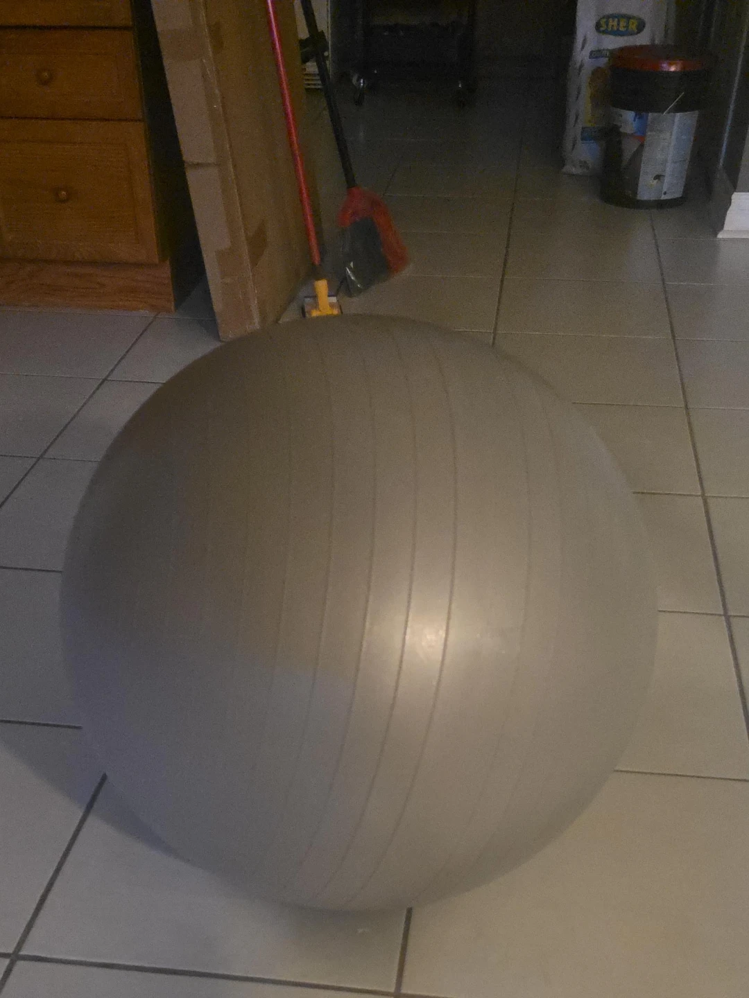 Grey Exercise Ball