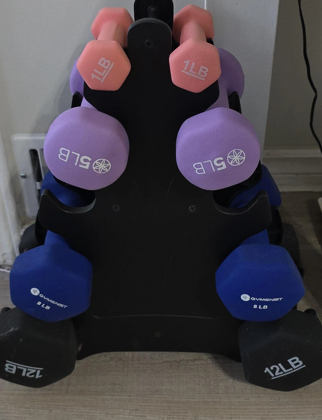 Gymenist Dumbbell Set with Rack