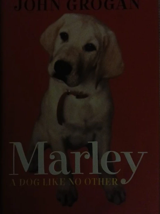 Marley: A Dog Like No Other by John Grogan Paperback Book