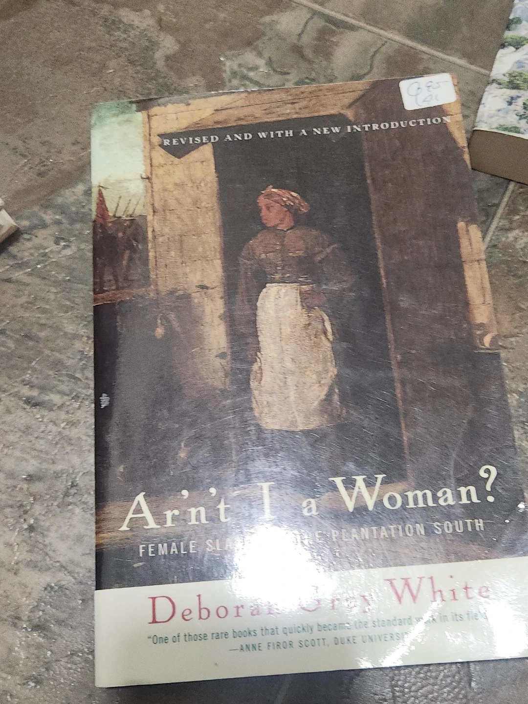 Arn't I a Woman
