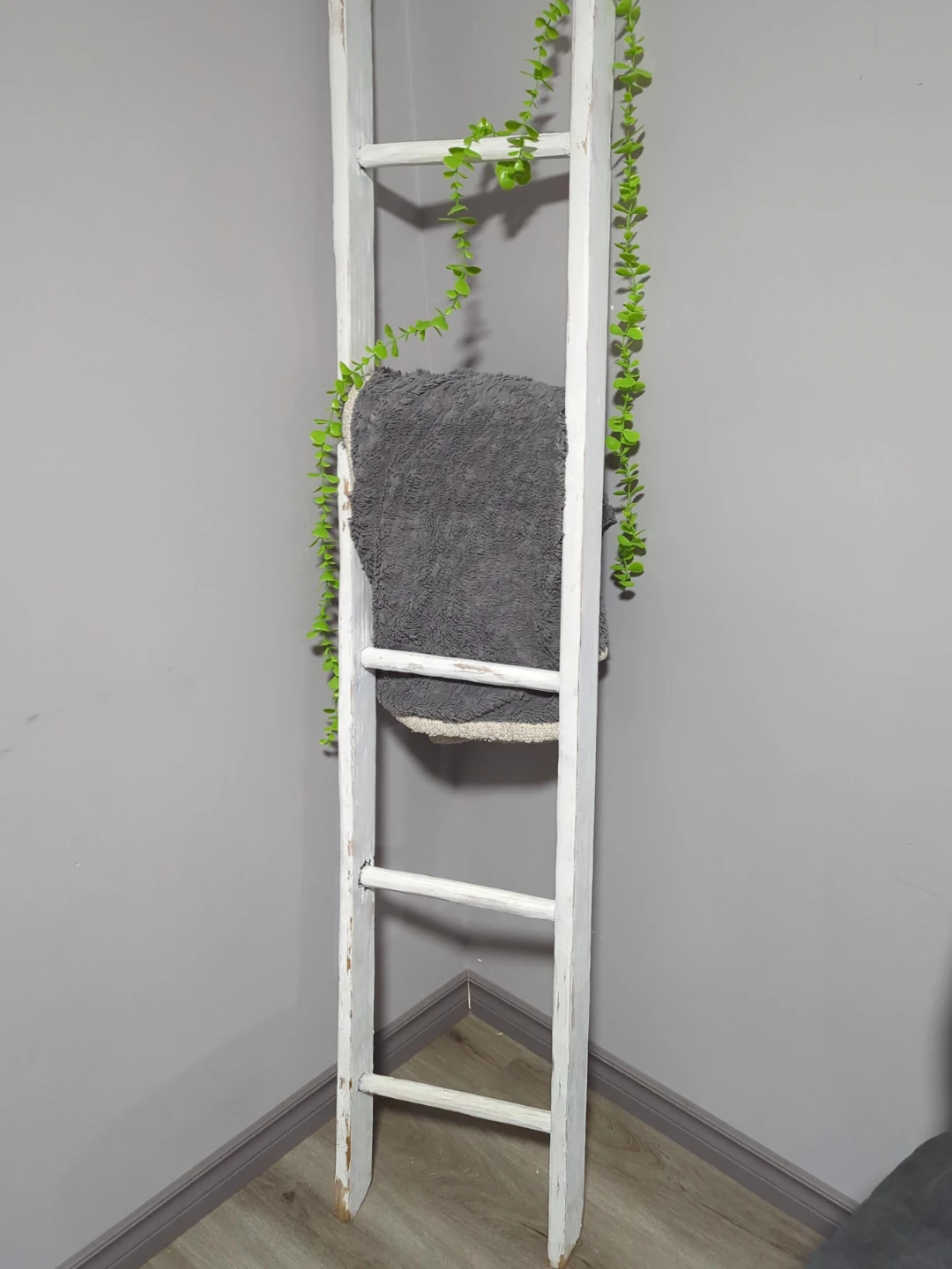 Decorative Ladder Shelf
