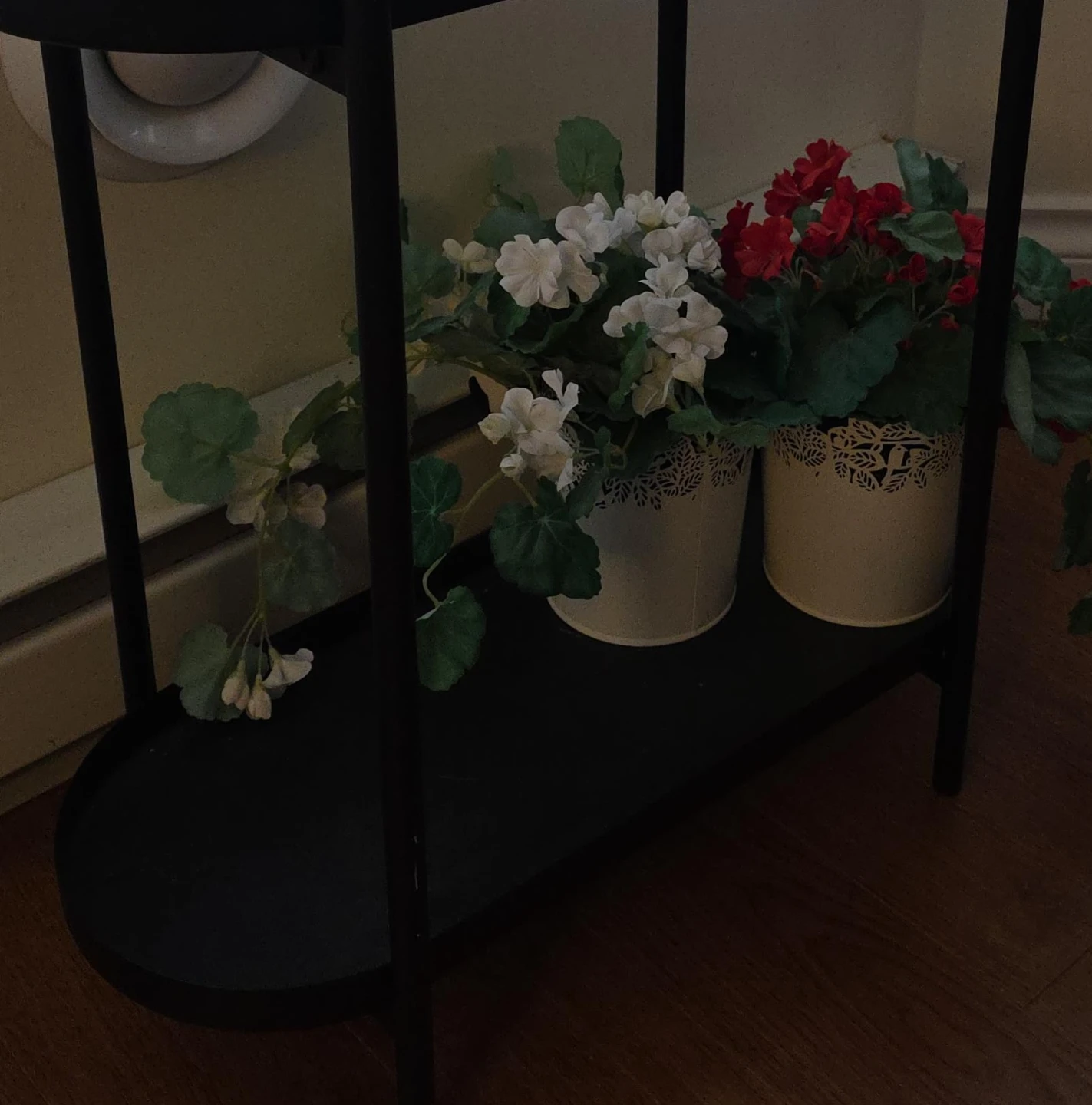 Black Metal Plant Stand with Pots