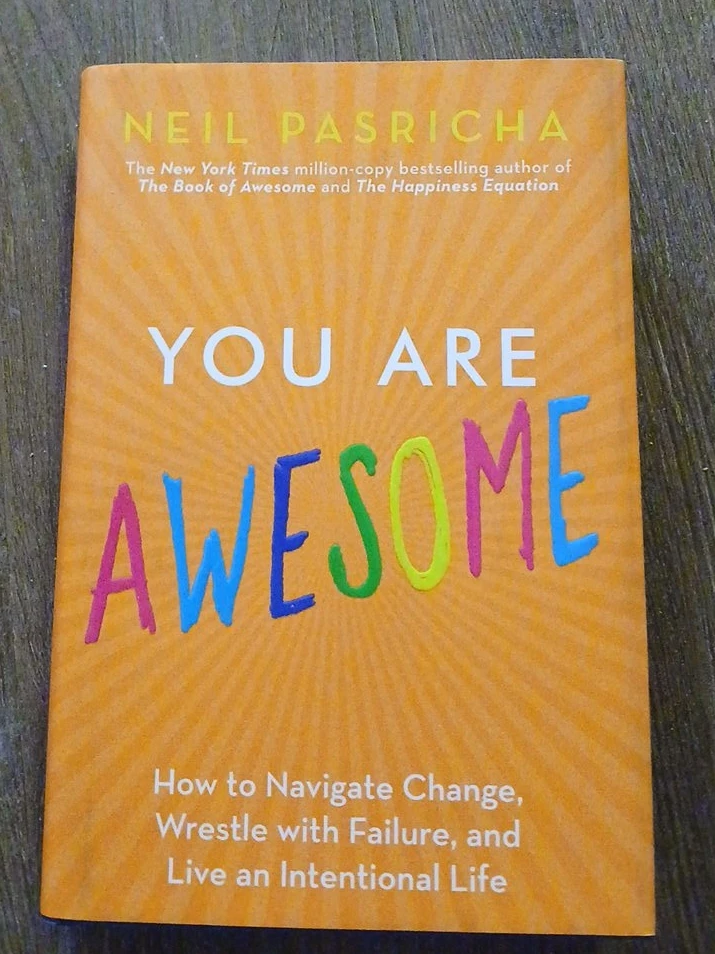 You Are Awesome by Neil Pasricha