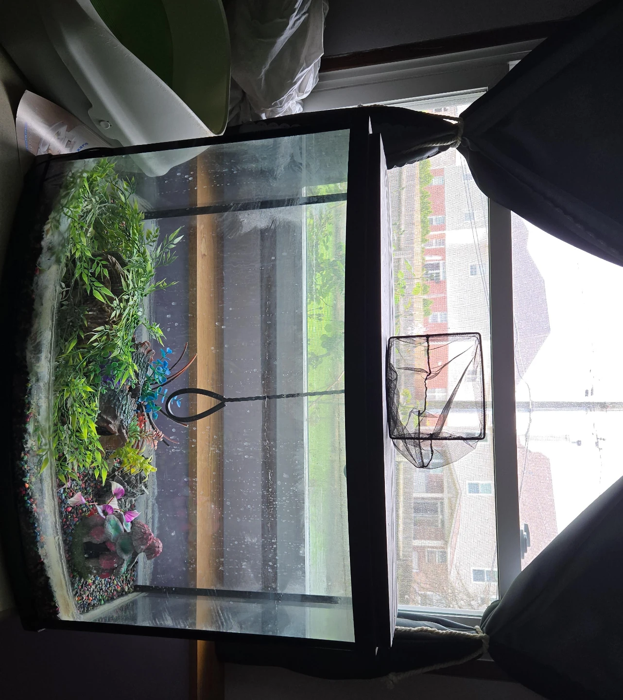 Curved front glass aquarium with decorations and net
