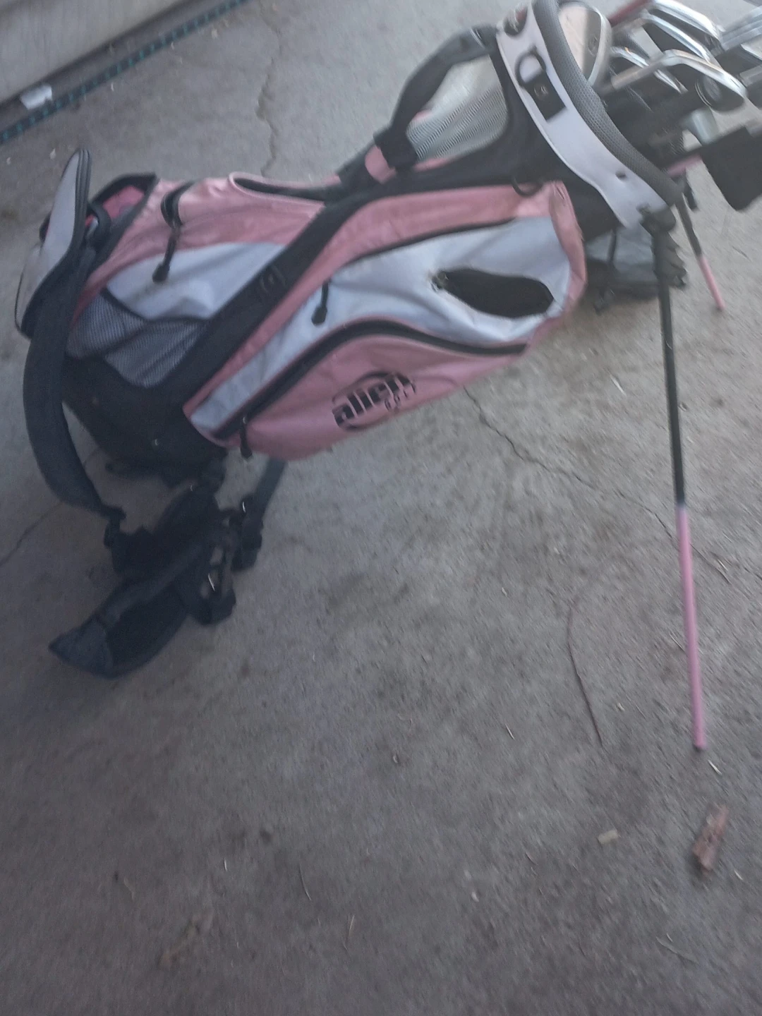 Alien Golf Pink Golf Bag
