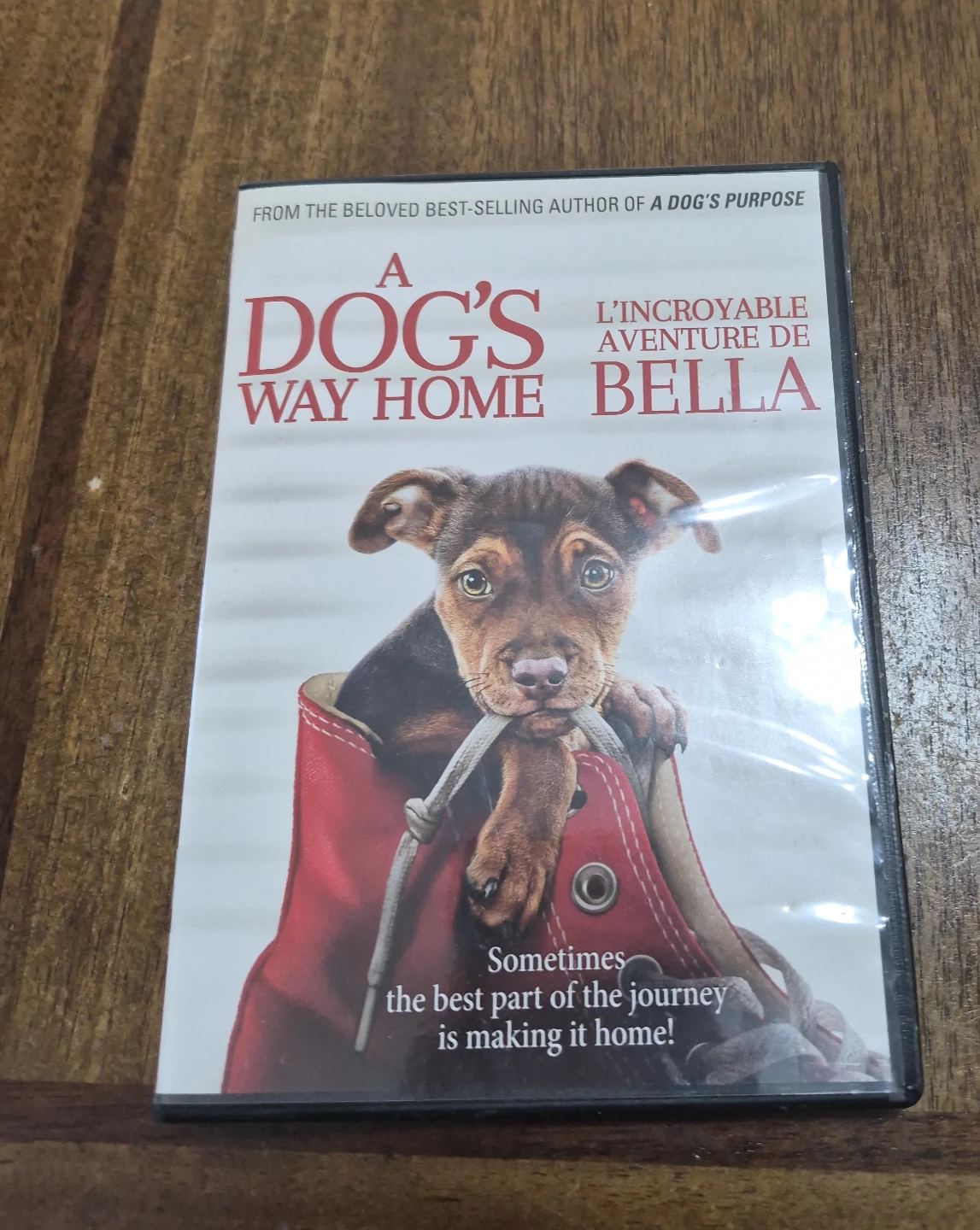 A Dog's Way Home DVD