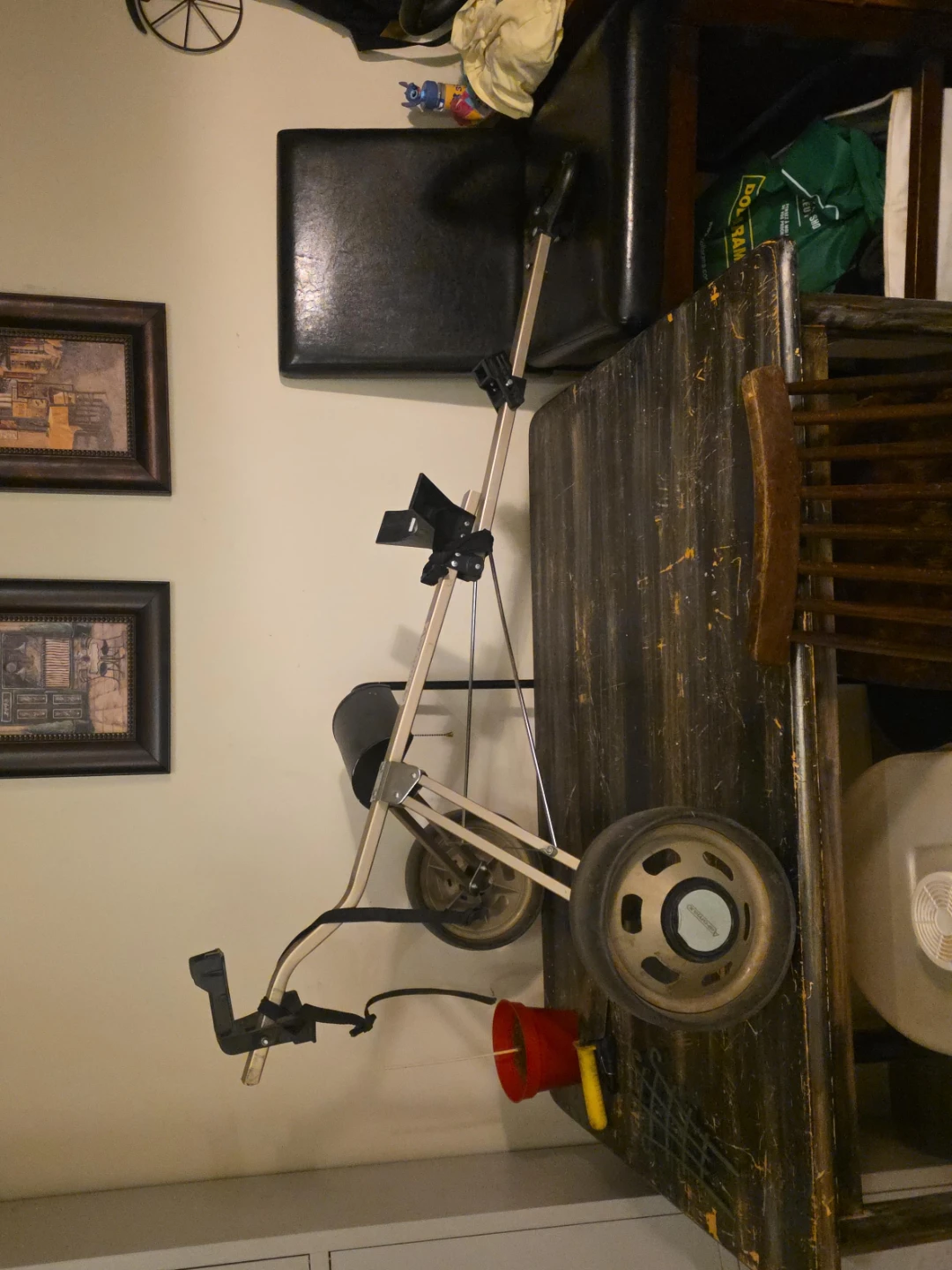 Golf Push Cart