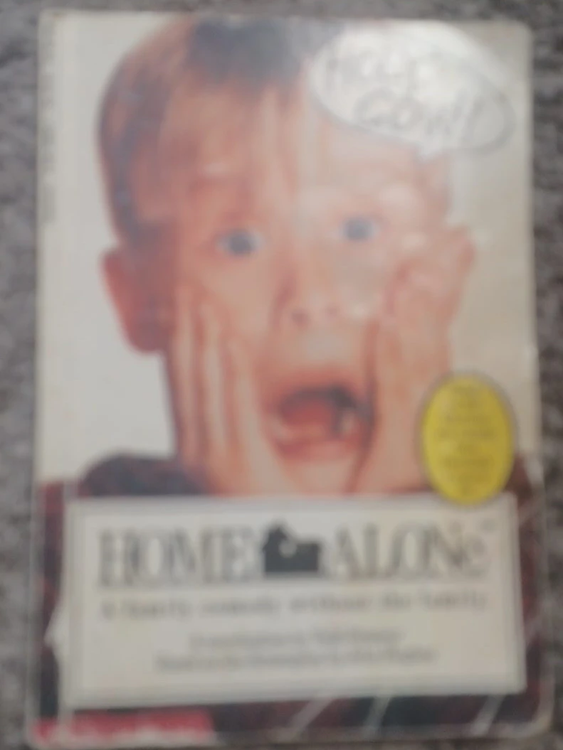 Home Alone children's book
