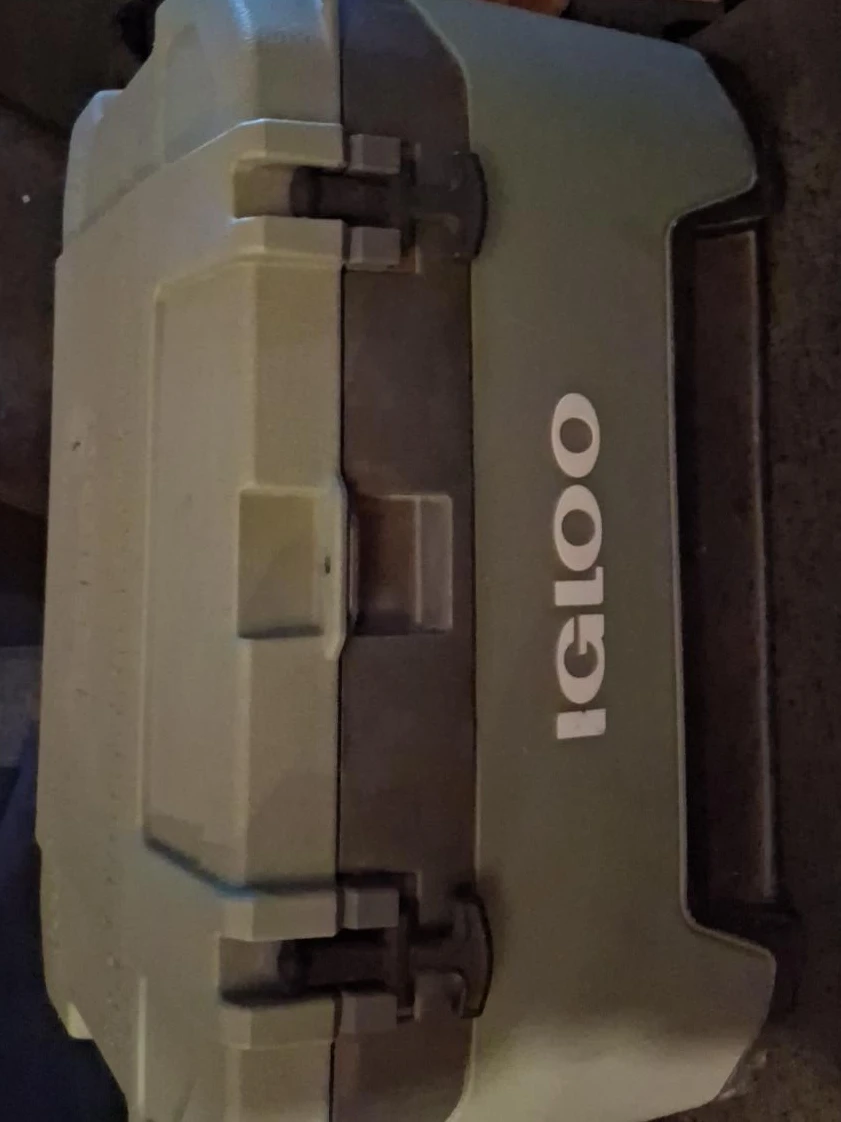 Igloo Cooler