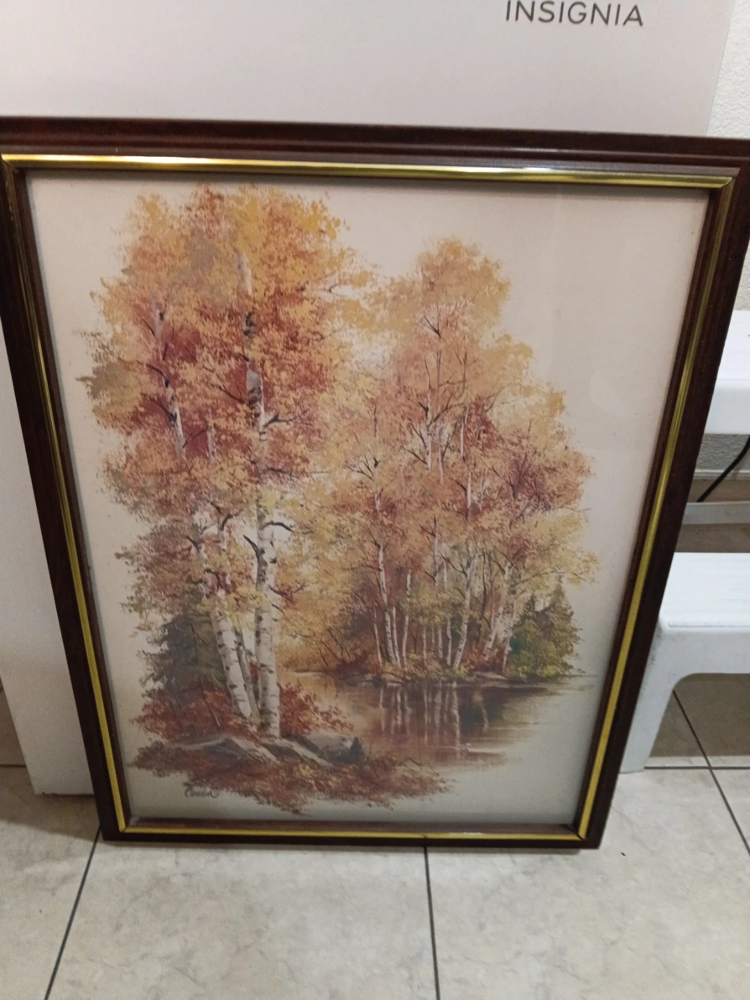 Framed Autumn Landscape Painting
