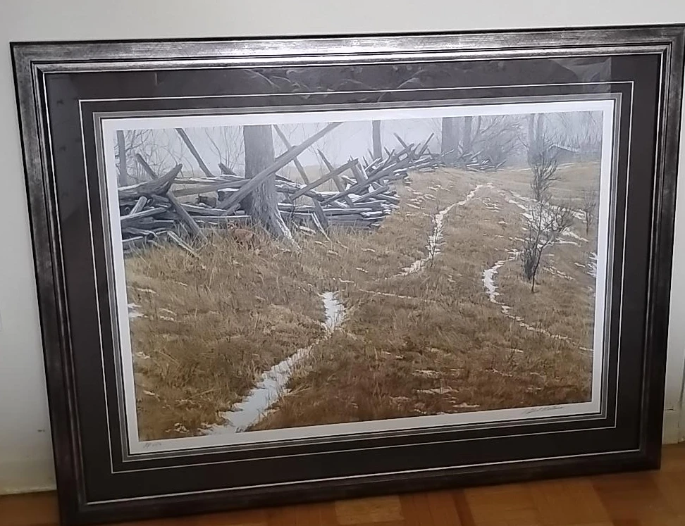 Framed Landscape Art Print