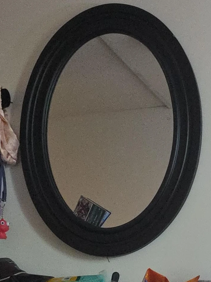 Oval Wall Mirror - Black Frame