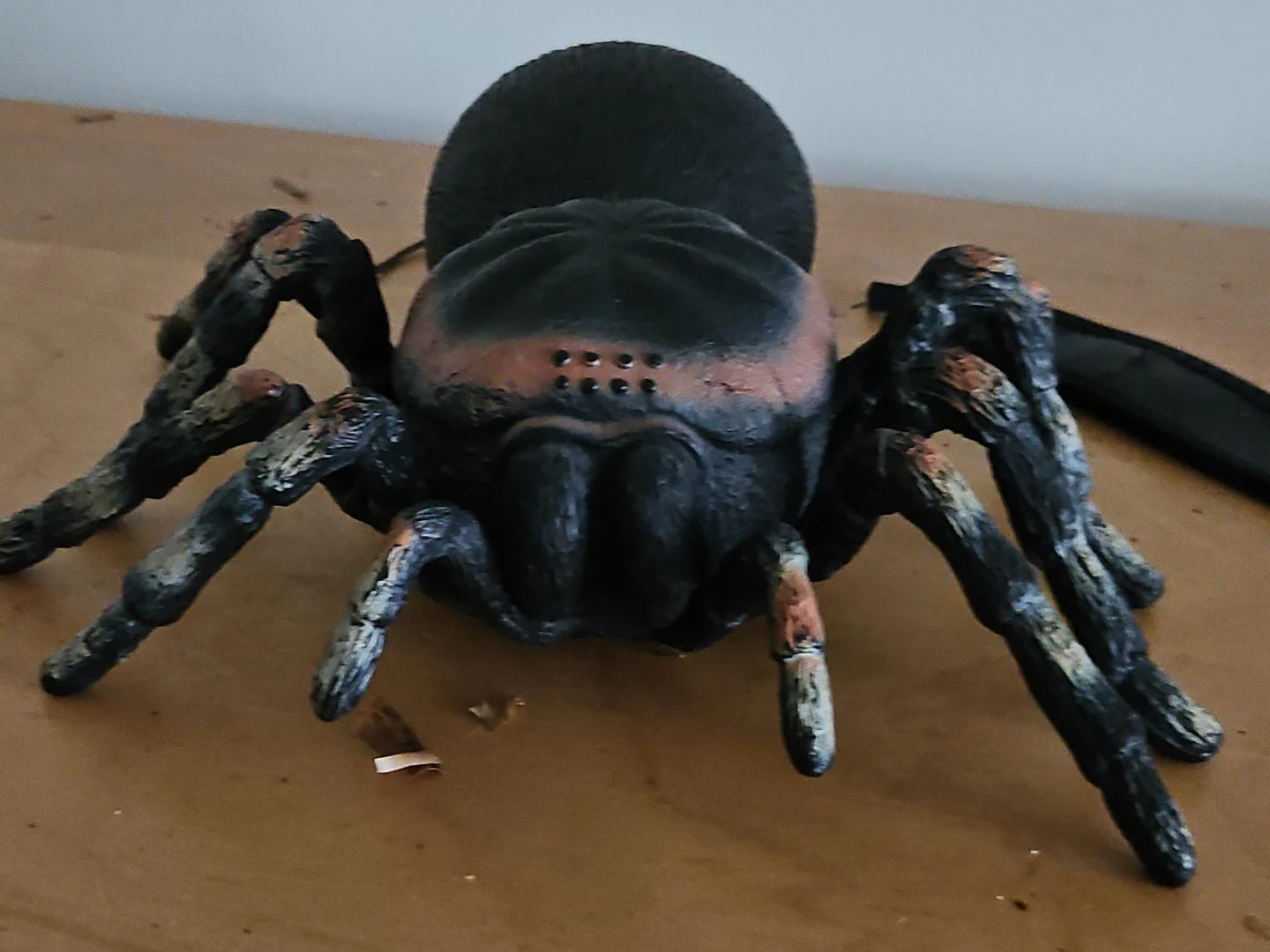 Realistic Spider Prop