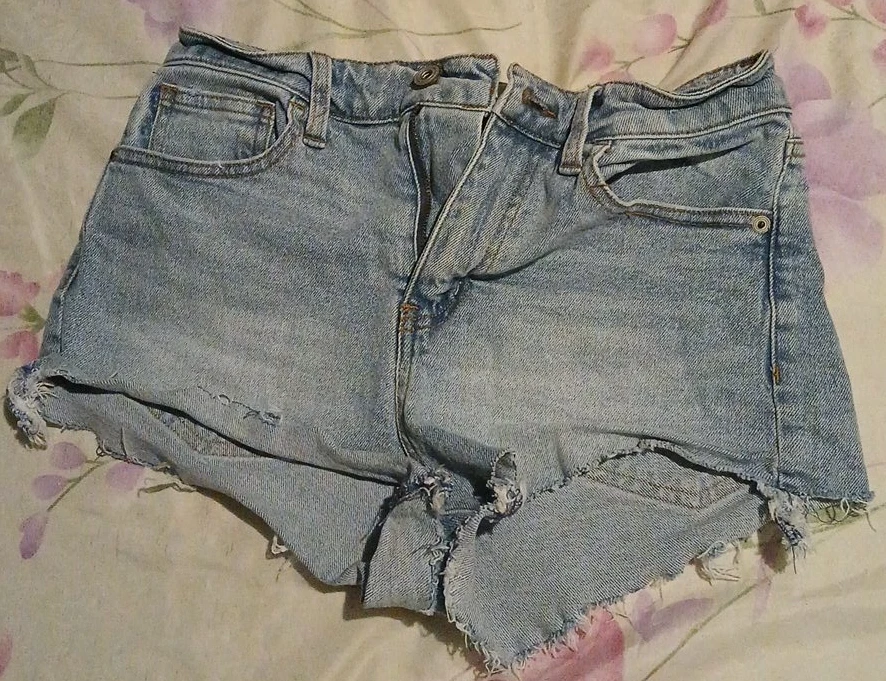 REgeneration by Celebrity Pink Denim Shorts