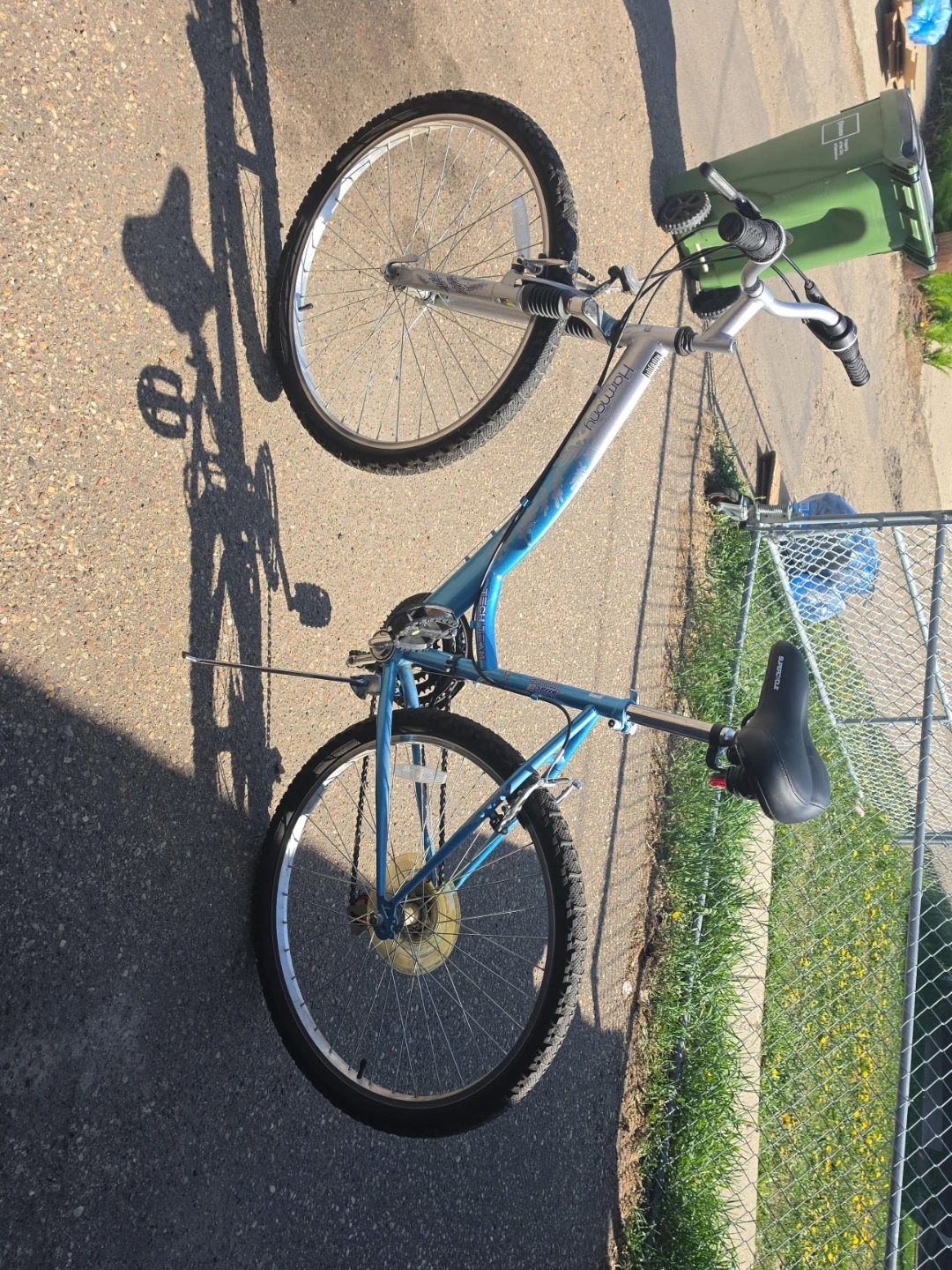 Harmony Blue Mountain Bike