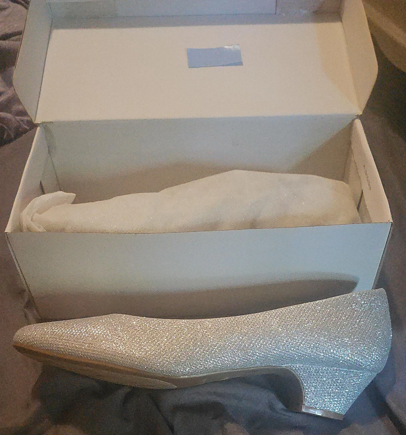 Sparkly Silver Heels with Box