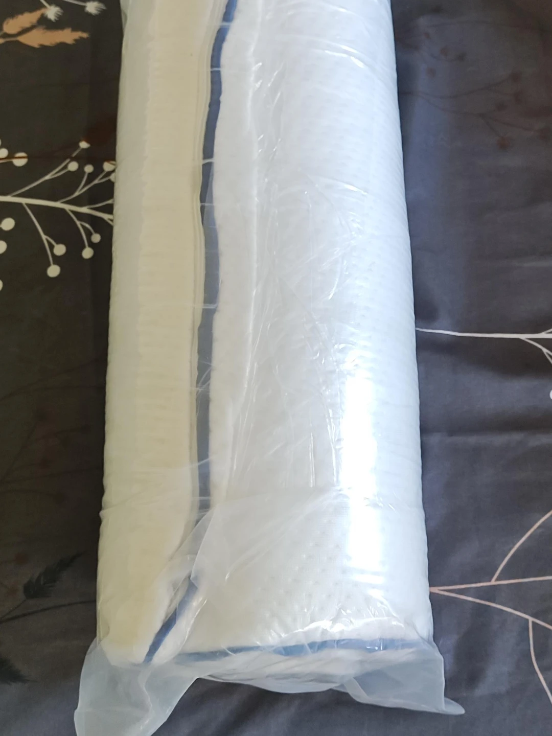Unopened FXI Pillow - Foam with Gel Beads - photo 2