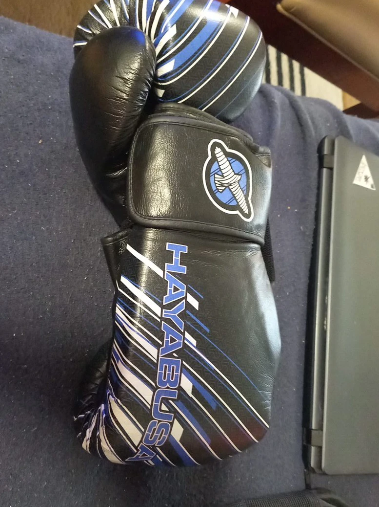 Hayabusa Boxing Gloves with Bag