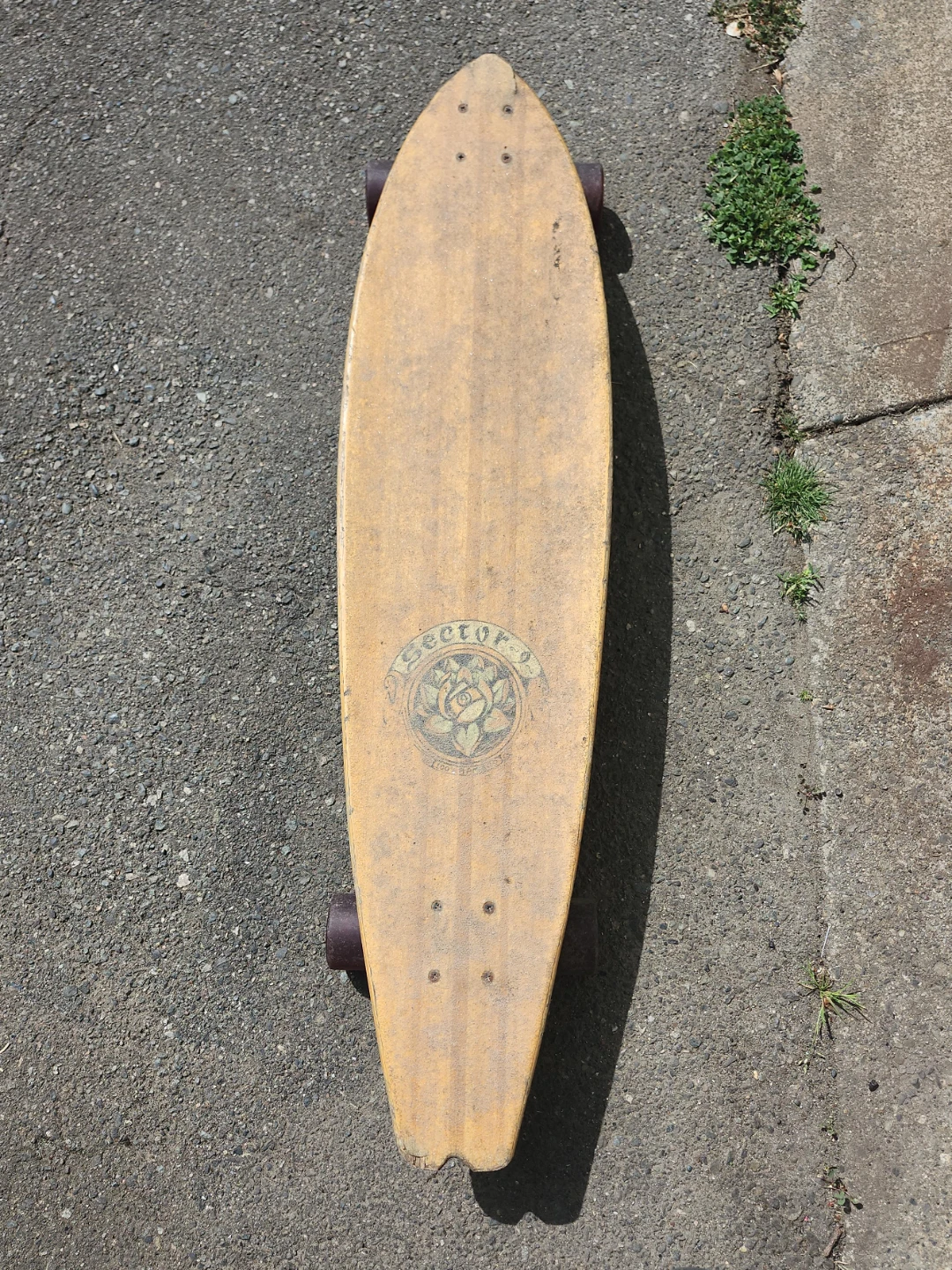 Sector 9 Longboard Skateboard