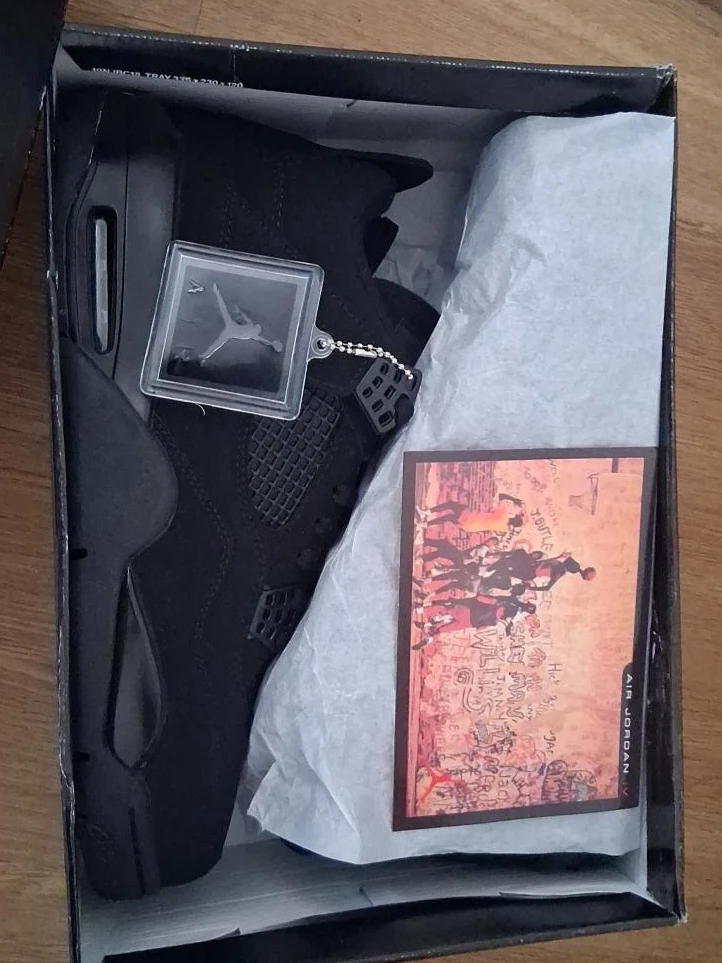 Air Jordan 4 Retro Black Cat