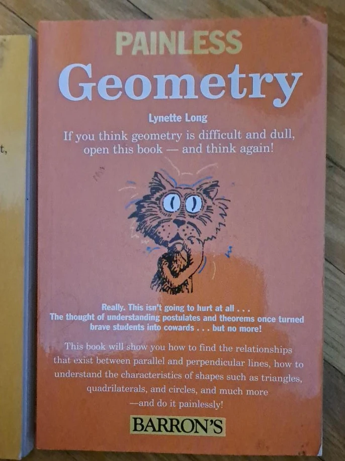 Painless Geometry by Lynette Long