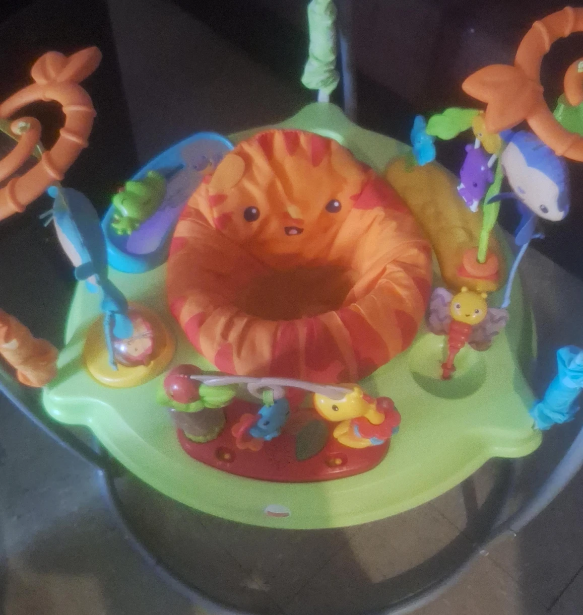 Fisher-Price Jumperoo Baby Bouncer