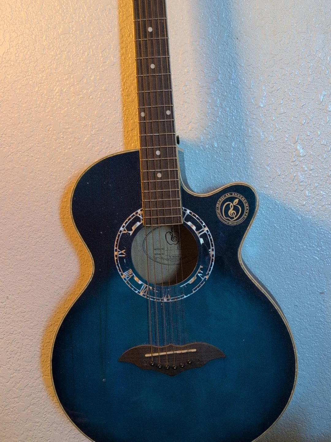 Apple Brand Acoustic Guitar - Blue