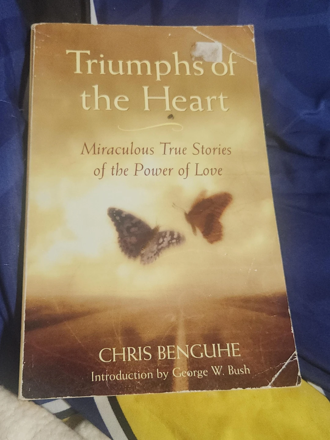 Triumphs of the Heart by Chris Benguhe