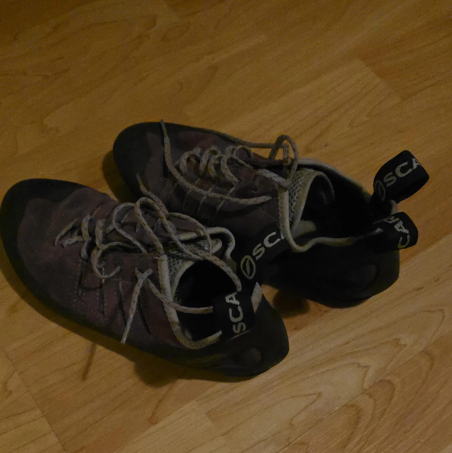 SCARPA Climbing Shoes