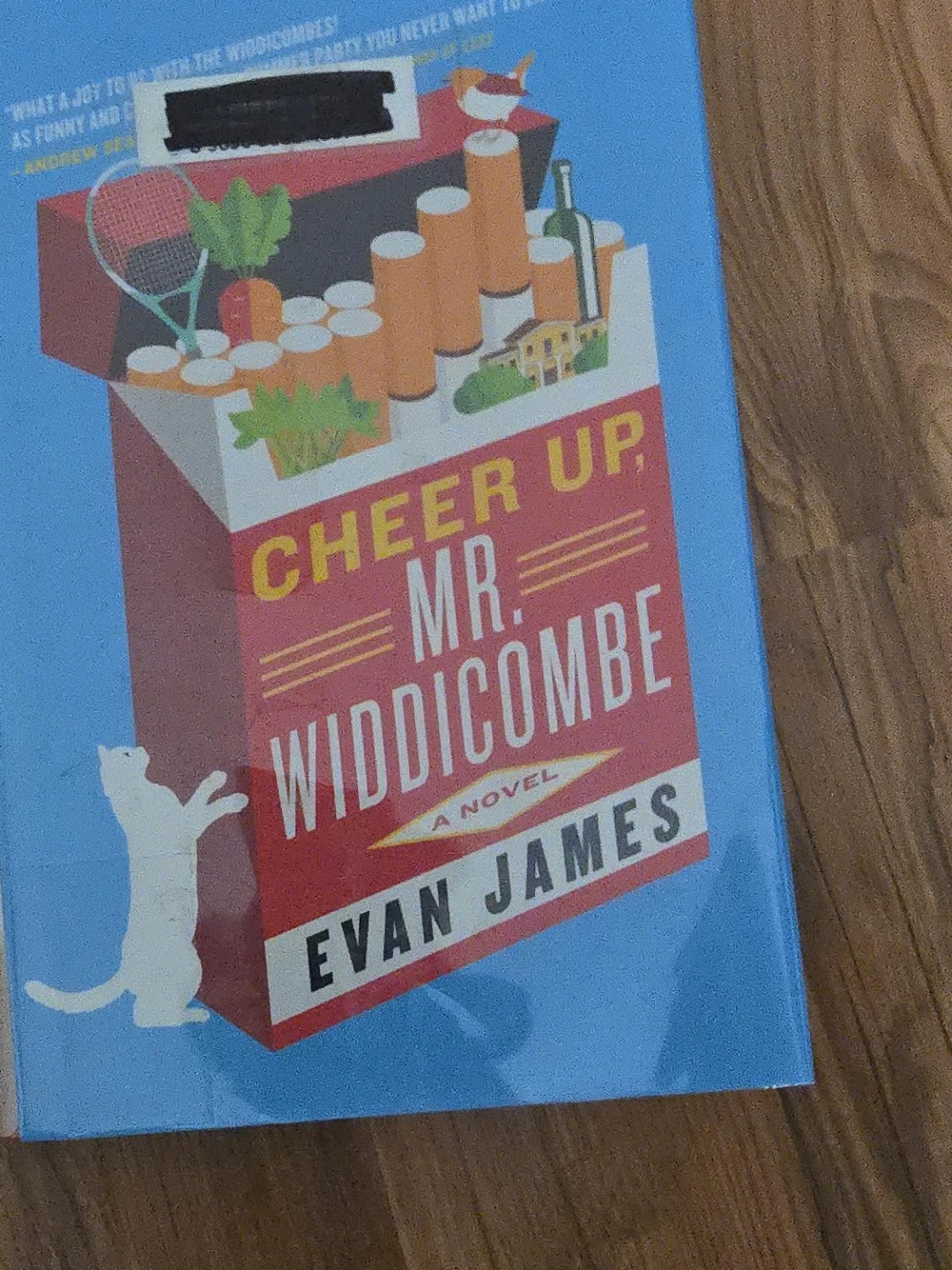 Cheer Up, Mr. Widdicombe