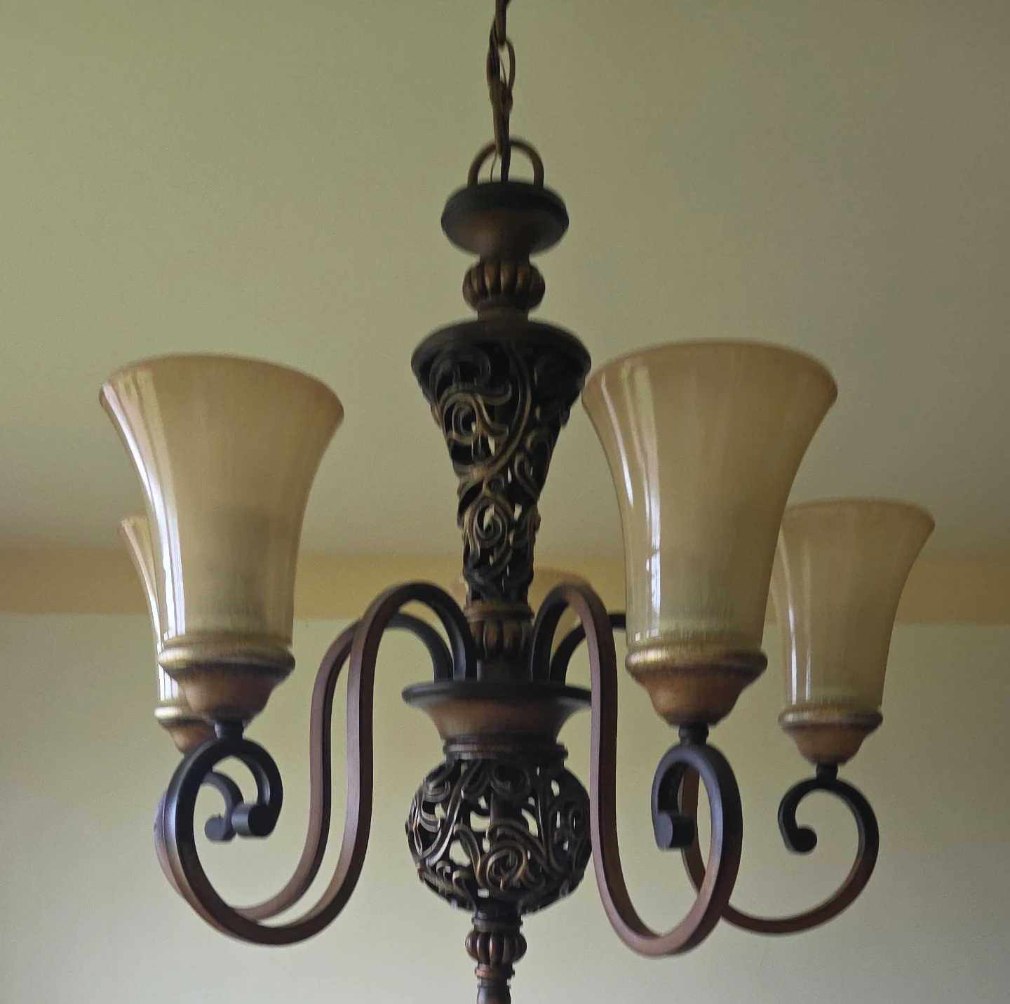 5-Light Chandelier