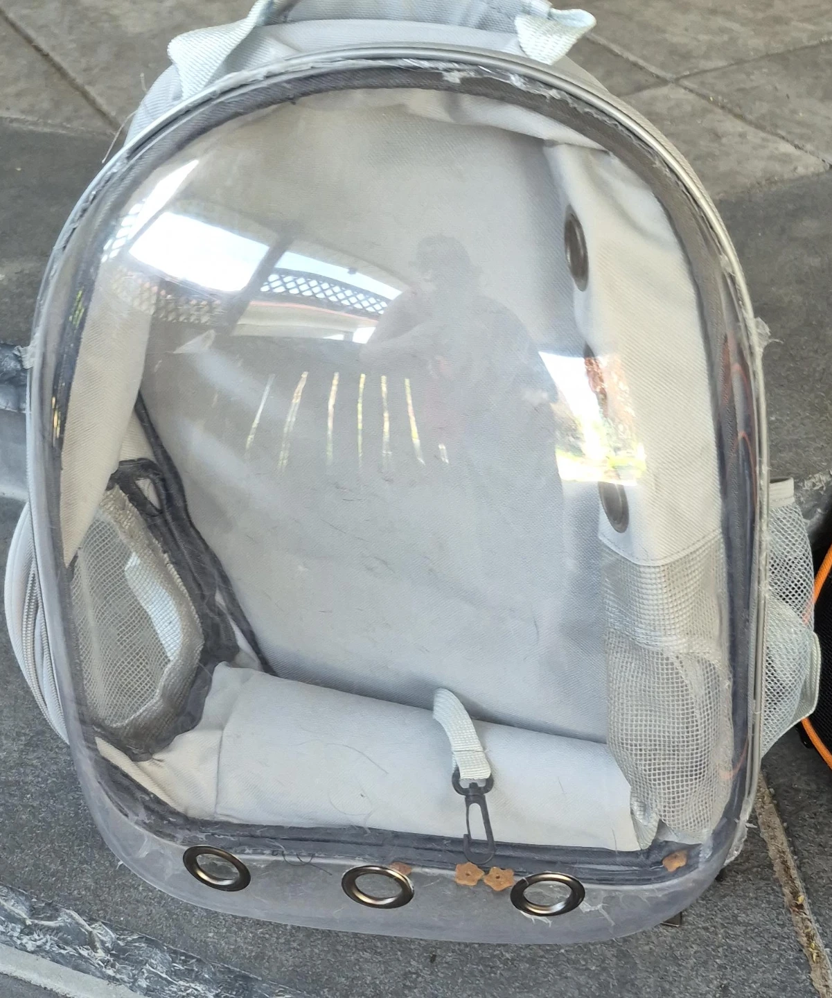 Cat Backpack Carrier