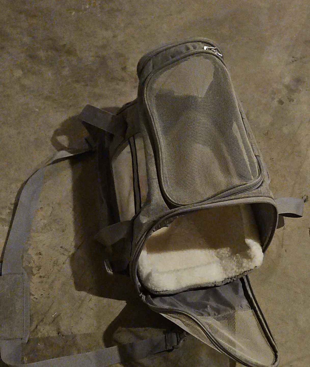 Grey Pet Carrier Backpack with Mesh Panels