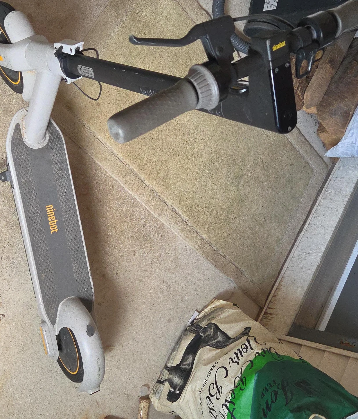 Ninebot Electric Scooter