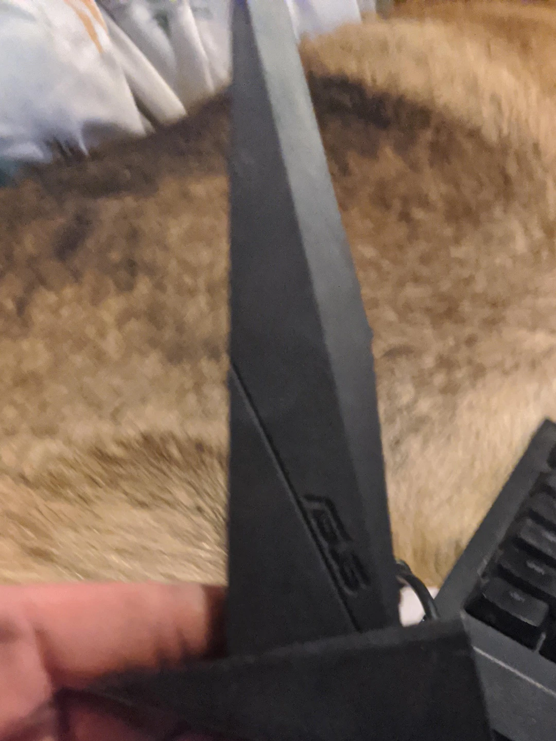 ASUS Router Antenna