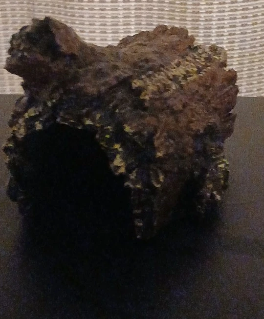 Fish hide faux log