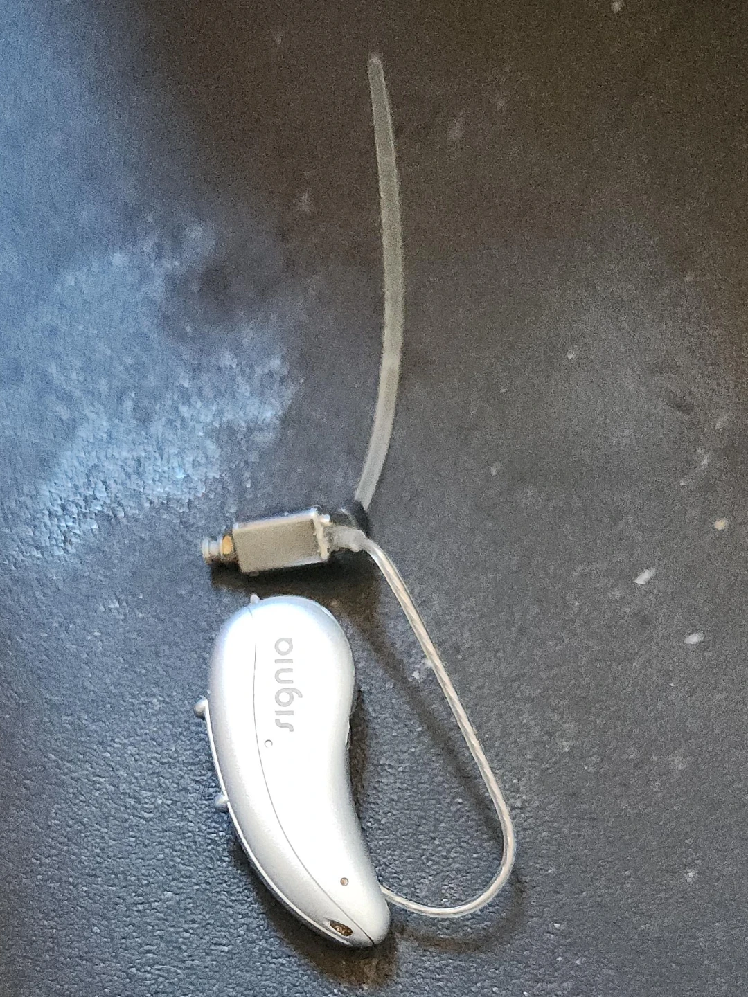 Signia Silver Behind-the-Ear Hearing Aid