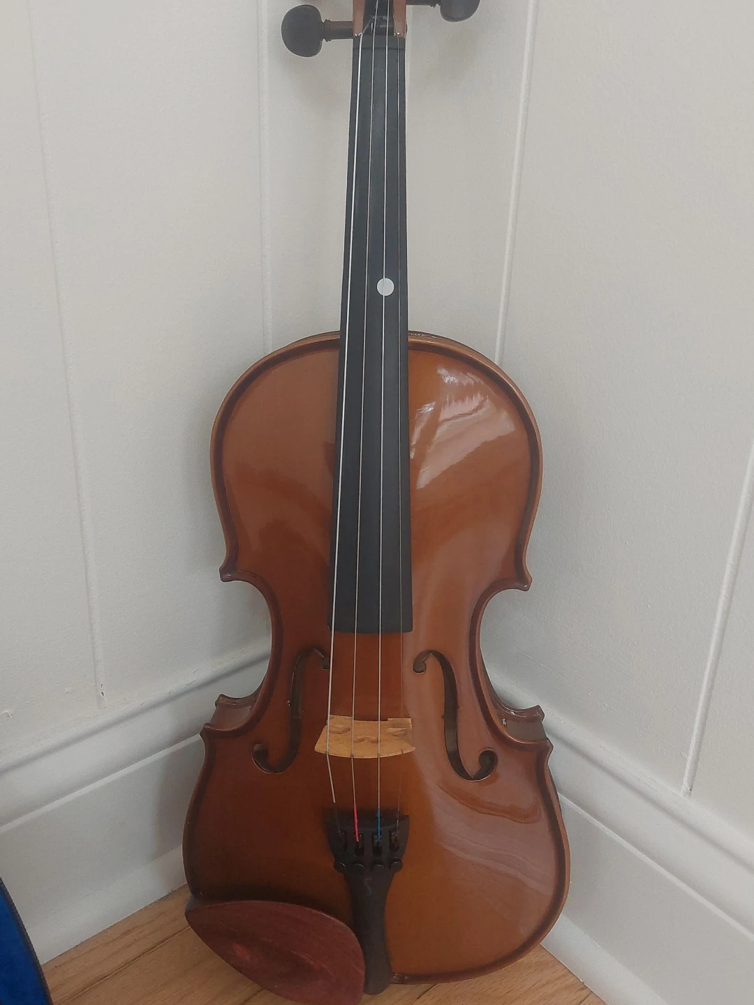 Slentor Violin with Carrying Case and accessories