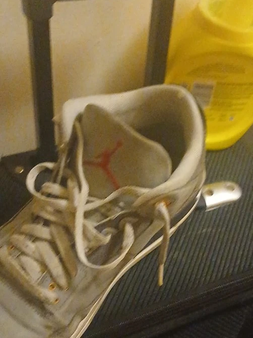 Air Jordan 3 Sneakers