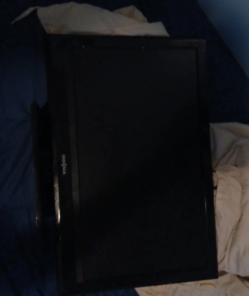 Insignia Flat Screen Monitor