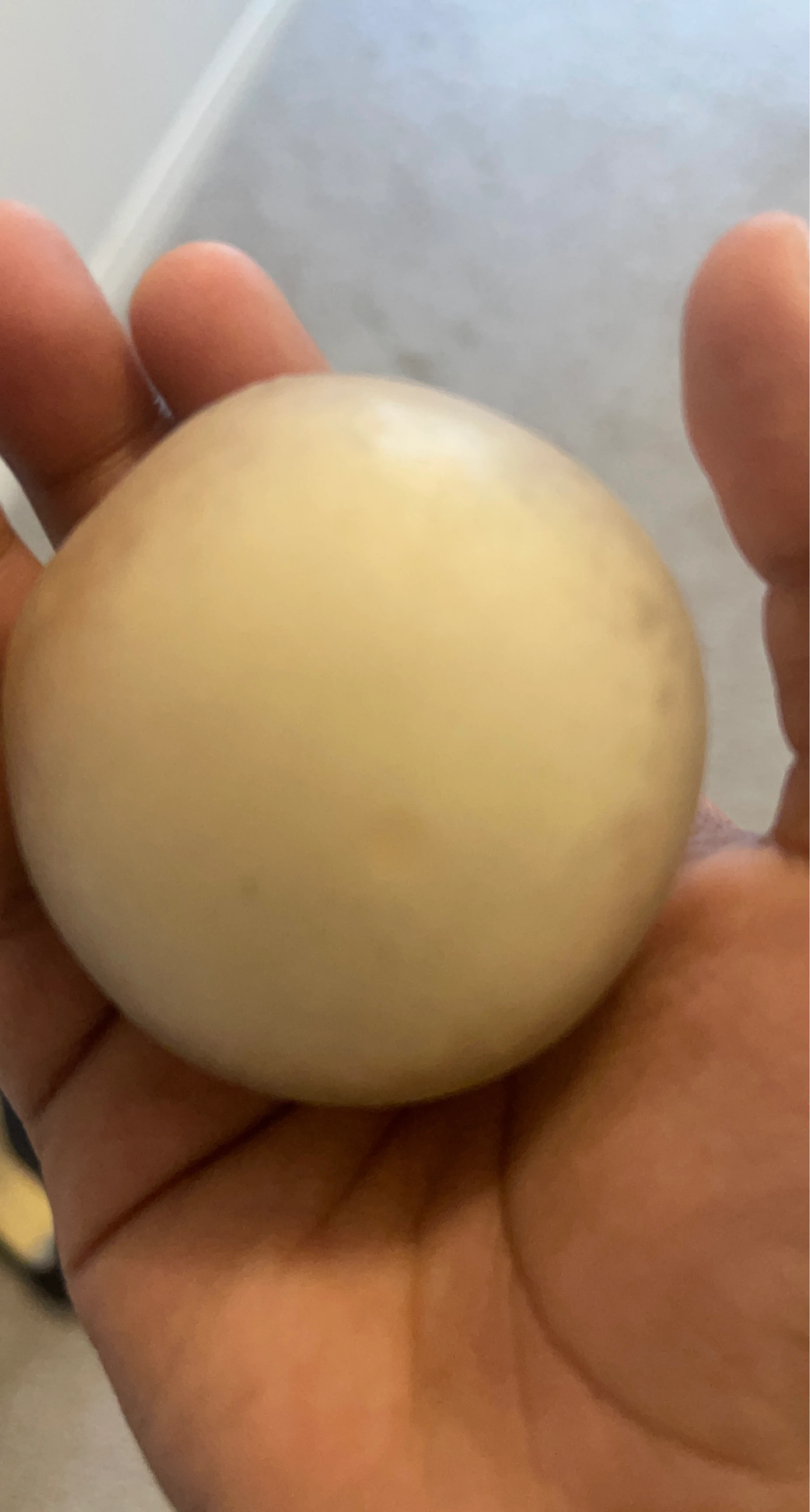 White Squishy Stress Balls