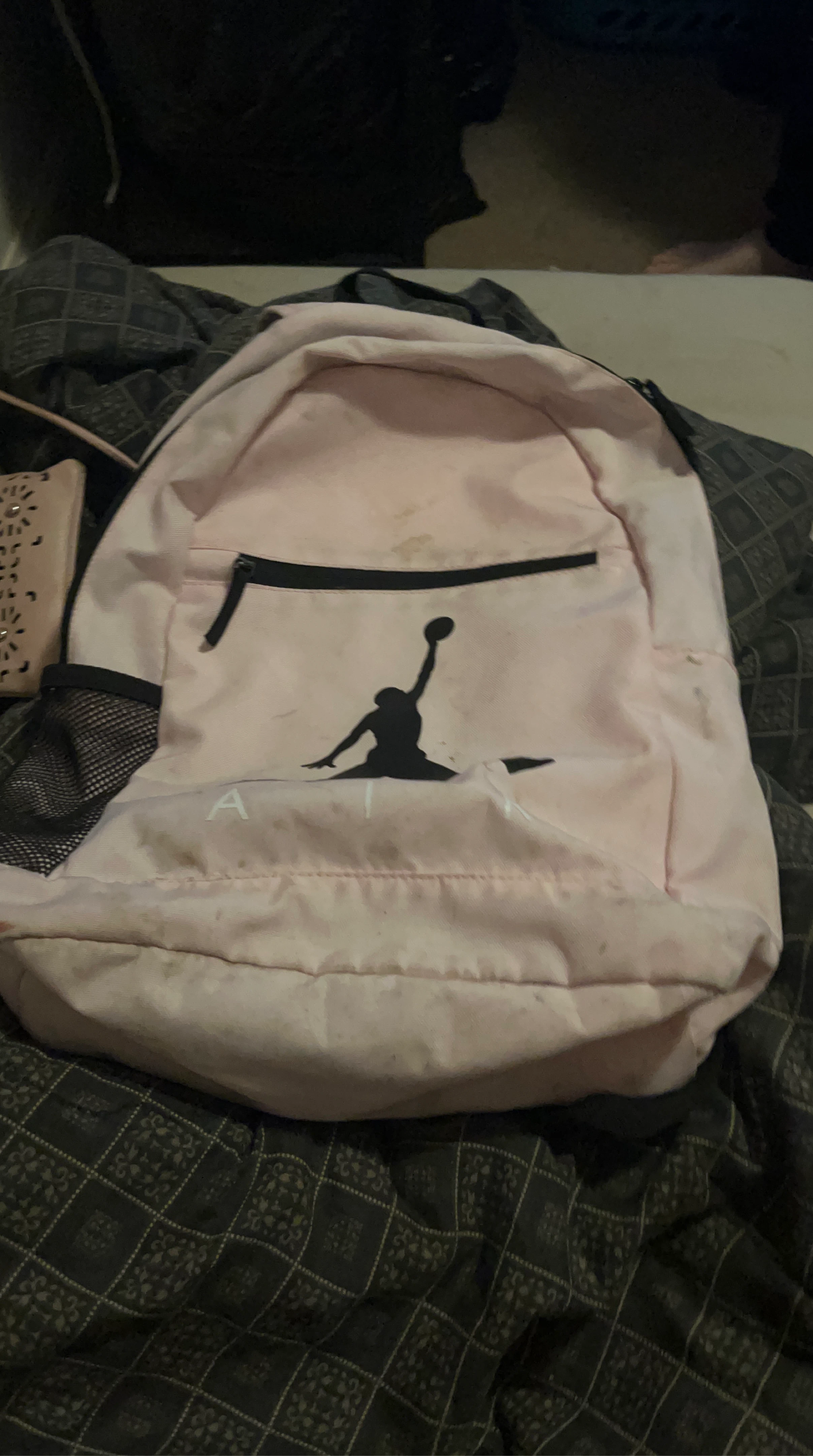 Jordan Pink Backpack
