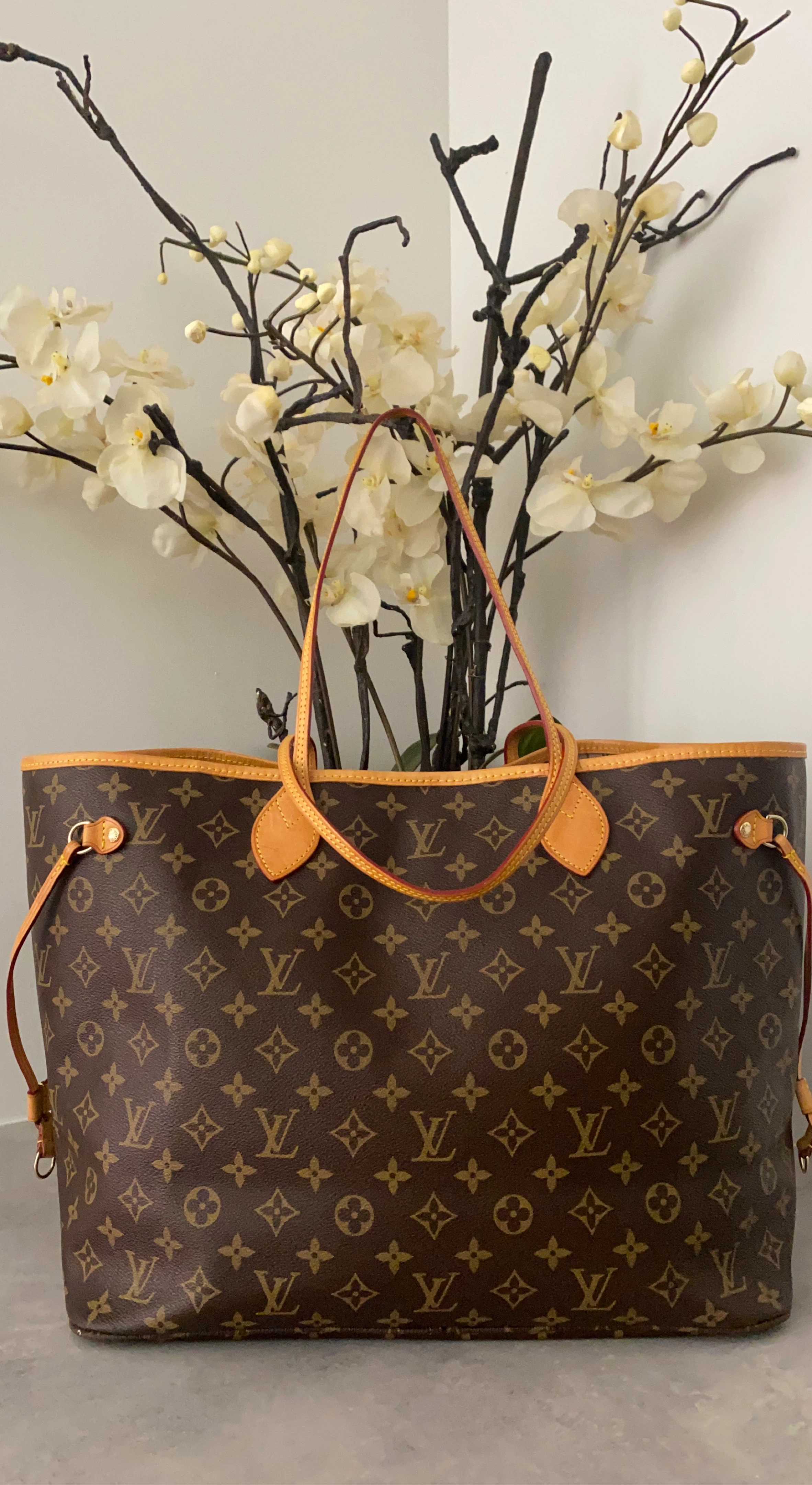 Louis Vuitton Monogram neverfull GM Bag